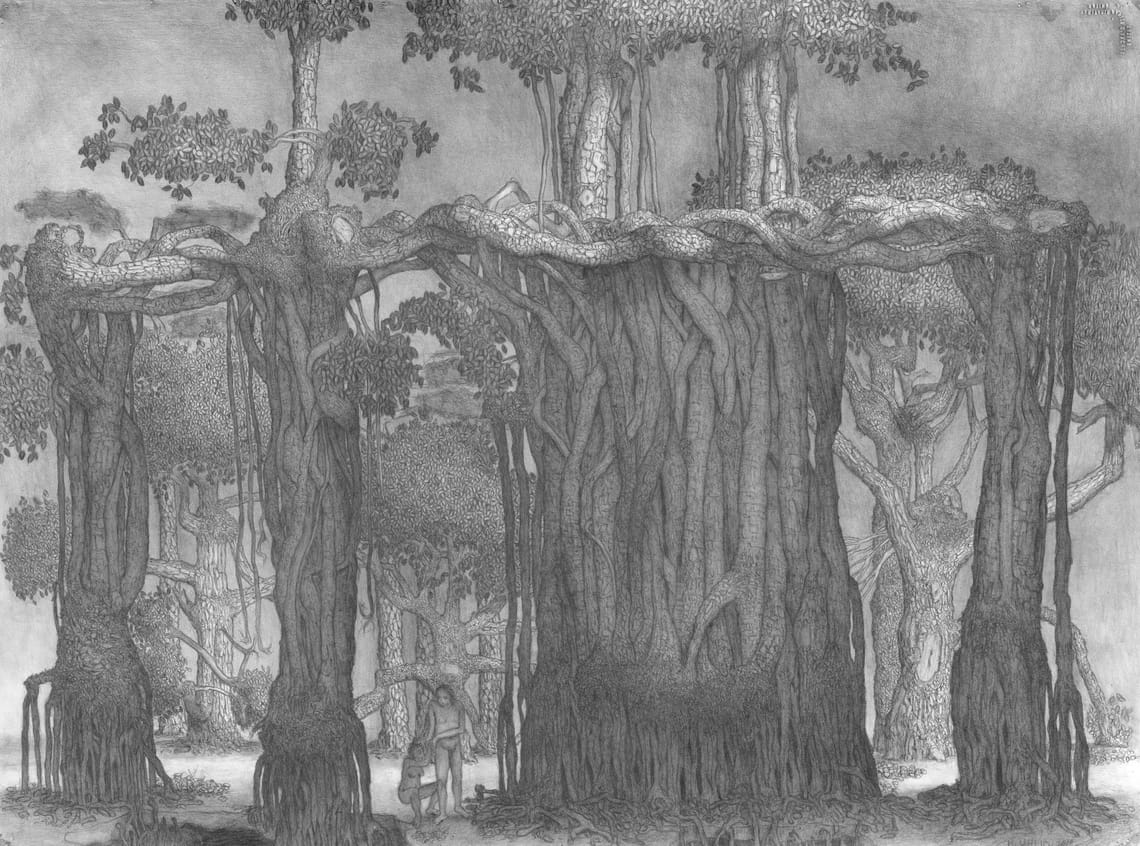 Banyan Trees, pencil on paper