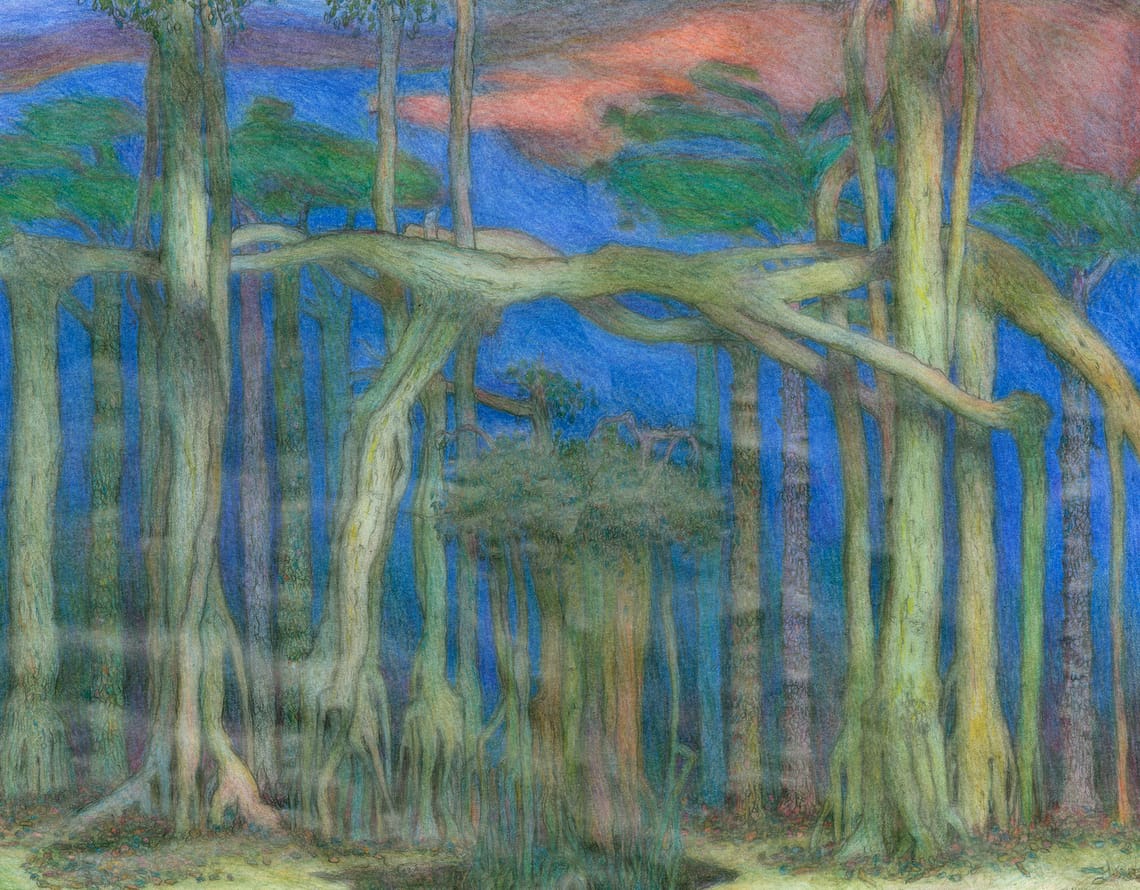 Into the Woods, pencil on paper