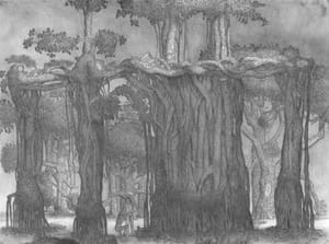 Banyan Trees, pencil on paper